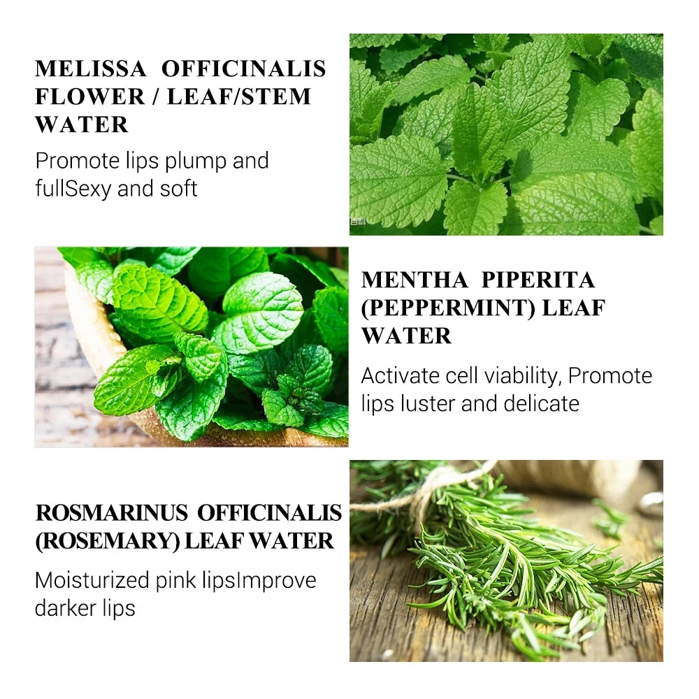 LANBENA Lip Care Serum Lip Plumper Repairing Reduce Lip Mask Fine Lines Increase Moisturizing Lip Elasticity Beauty