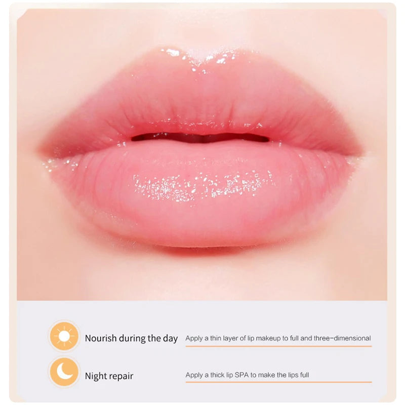 Propolis Lip Balm Moisturizing Lip Mask Nourishing Anti-wrinkle Anti-cracking Unisex Lip Care Makeup Lip Lines Exfoliating