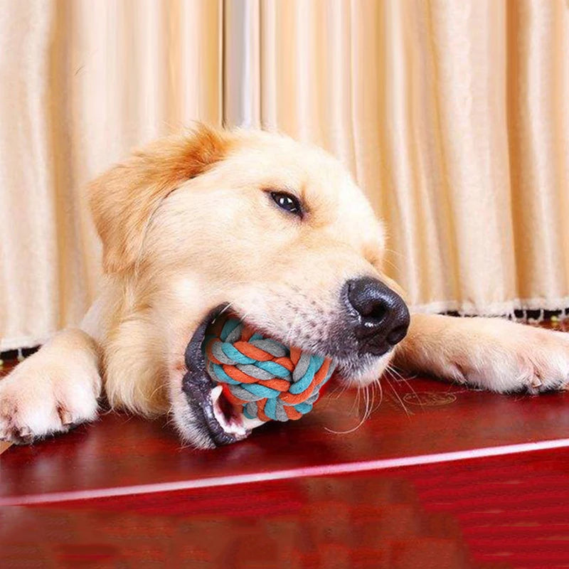 New Dog Rope Interactive Toys Kit Tough Strong Knot Ball Pet Puppy Cotton Tooth Cleaner Playing Training Chew Toy Dog Supplies