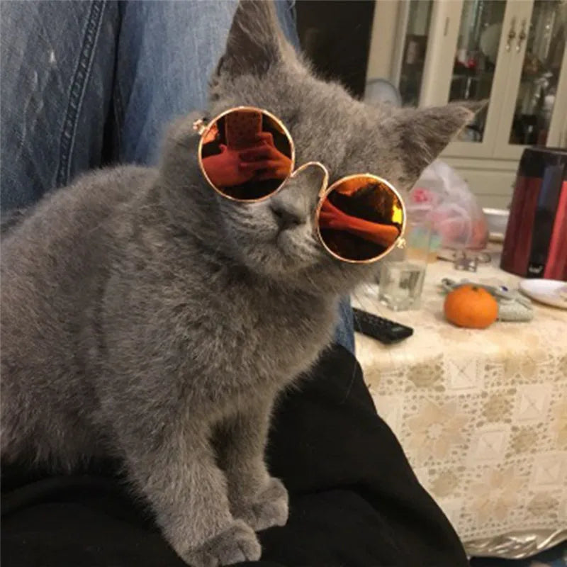 Pet Sunglasses Eyewear Pet Glasses Photo Props Goods Cosplay Accessories Cute Glasses for Animal Pet Cat Puppy Dog Supplies Item
