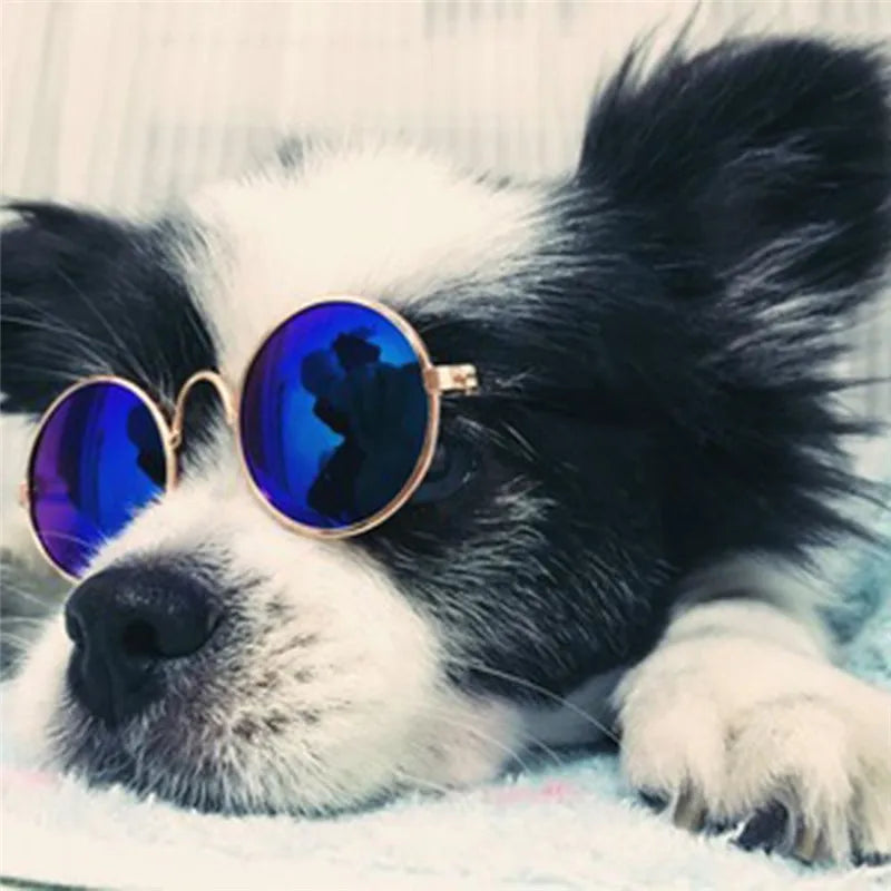 Pet Sunglasses Eyewear Pet Glasses Photo Props Goods Cosplay Accessories Cute Glasses for Animal Pet Cat Puppy Dog Supplies Item