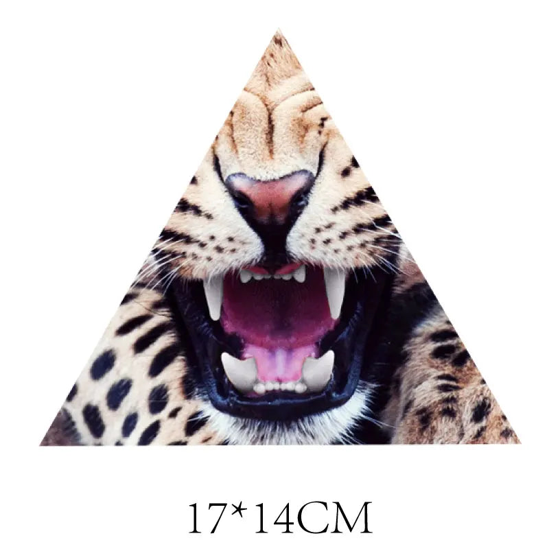 48356338008337
