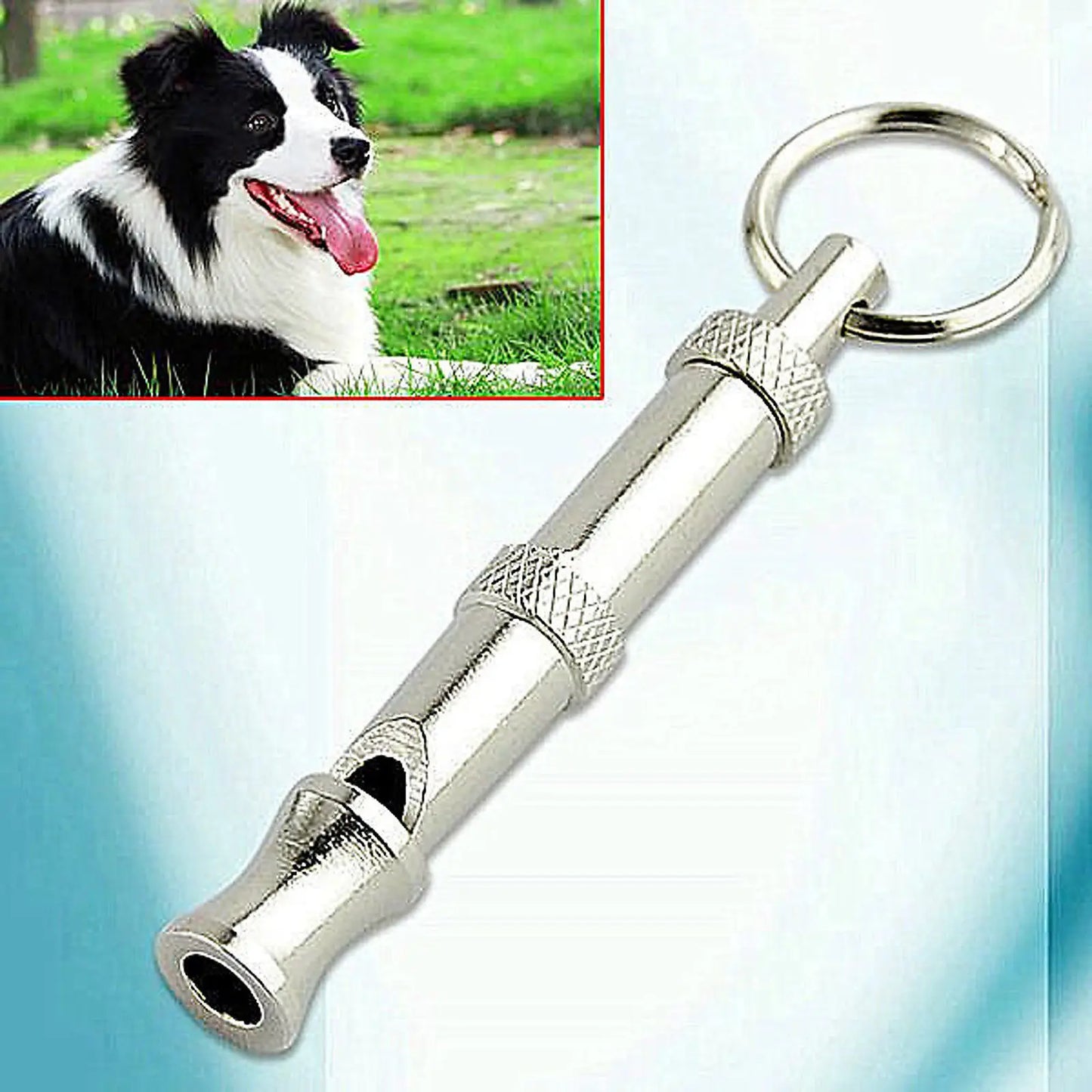 1PC Dog Whistle Pet Dog Training Obedience Whistle Sound Repeller Pitch Stop Barking Ontrol For Dogs Training Deterrent Supplies