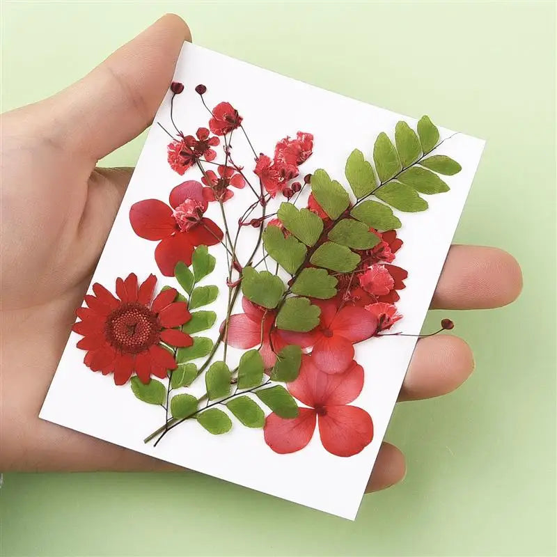 1 Pack Dried Leaves Flowers Green Plants DIY Crystal Epoxy Resin Coaster Resin Filling Decorations Silicone Mold Accessories