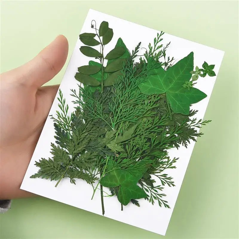 1 Pack Dried Leaves Flowers Green Plants DIY Crystal Epoxy Resin Coaster Resin Filling Decorations Silicone Mold Accessories