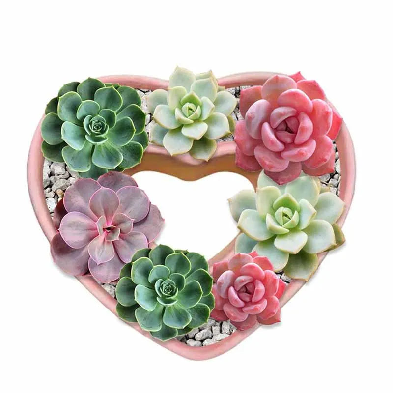 Succulent Plants Fondant Silicone Mold 3d DIY Candle Clay Resin Plaster Chocolate Wax Mould Flower Decorative Molding M2728
